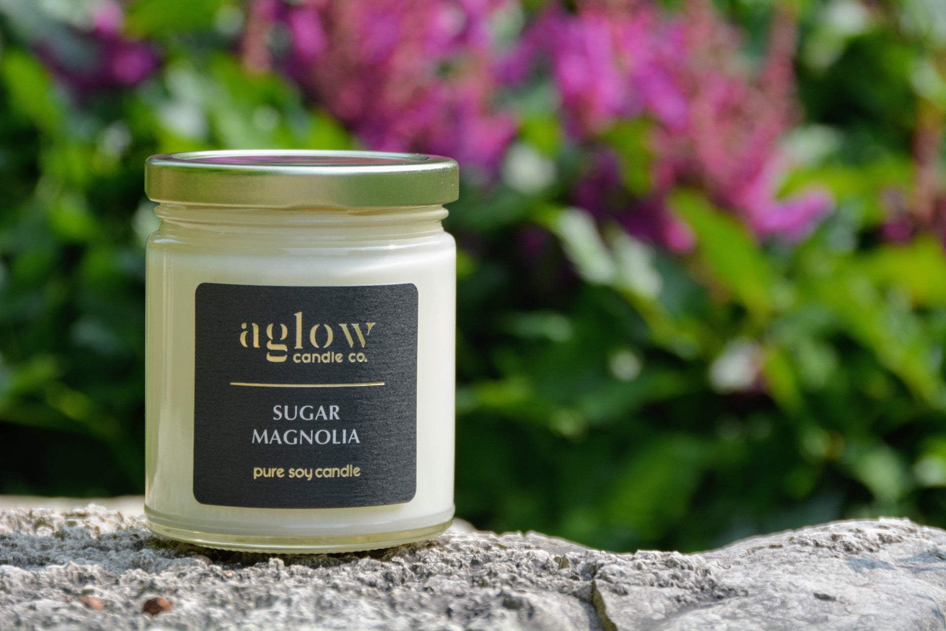 Sugar Magnolia